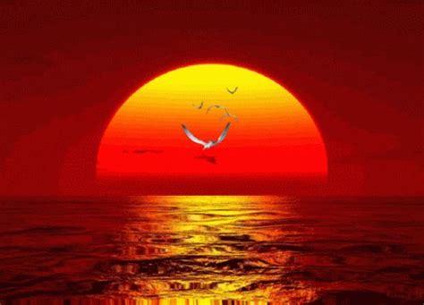 Animated Sunset | Total Awards : 30 | GRAPHICS MOVING GIFS 2 ...