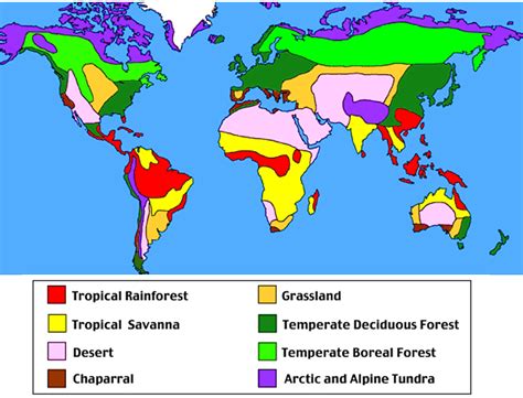 Animals and world map - Tropical Rainforests