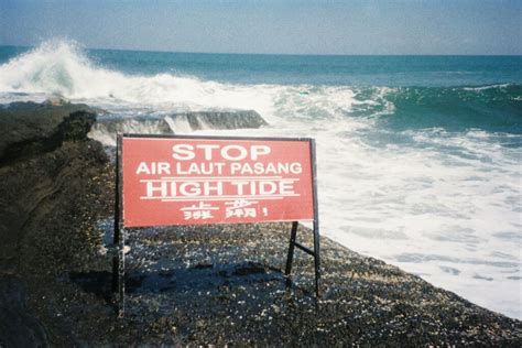 Understanding Spring Tides: Coastal Impact & Marine Life