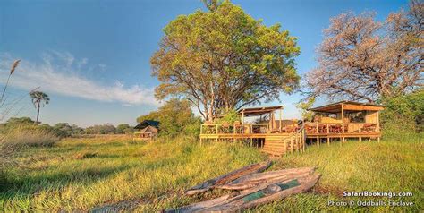 Top 10 Best Okavango Delta Luxury Safari Lodges & Camps – SafariBookings