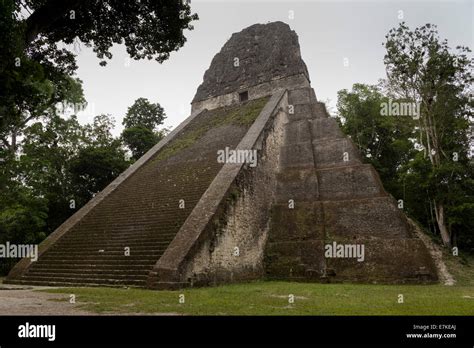 Temple IV, the highest temple in Tikal National Park, El Peten ...