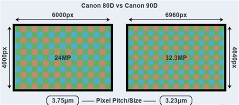 Canon 90D vs Canon 80D Comparison: Should You Upgrade? - Colorfy