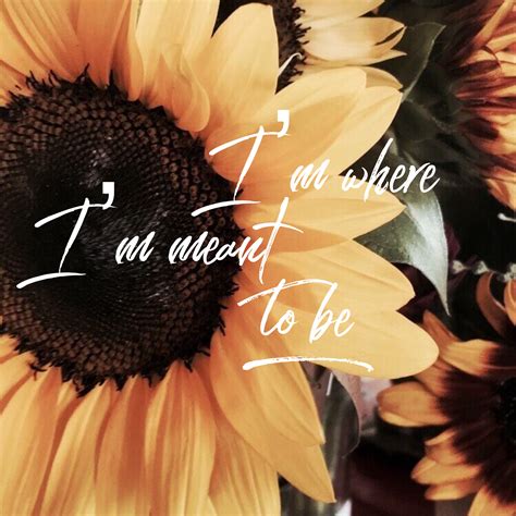 Right where I’m supposed to be/moving forward/ blessed | Sunflower ...