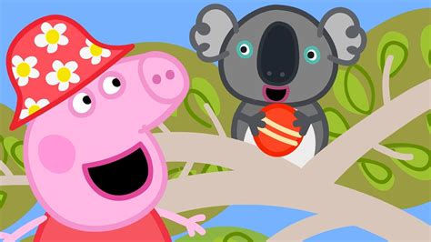 Peppa Meets a Koala Bear 🐷🐨 @PeppaPigOfficial - YouTube