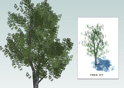 Free 3D Models - VEGETATION - SKETCHUP 3D TREES collection 1 - by ...