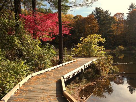 Pleasant Valley Wildlife Sanctuary – Mass Audubon Society