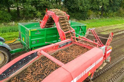 Harvesting Carrots - Thoresby Farming