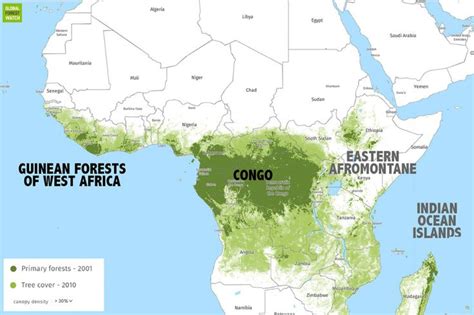 Most of Africa's remaining rainforests are found in the Congo river ...