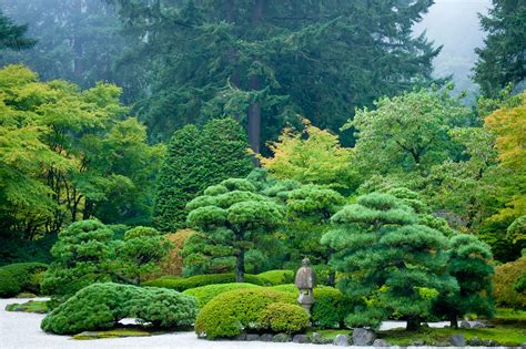 Flat Garden – Portland Japanese Garden