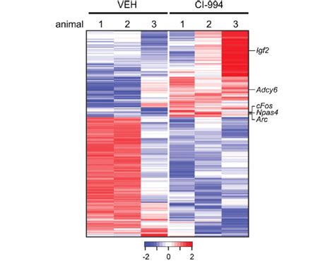 An example of a heat map showing gene expression (Reprinted from Gräff ...