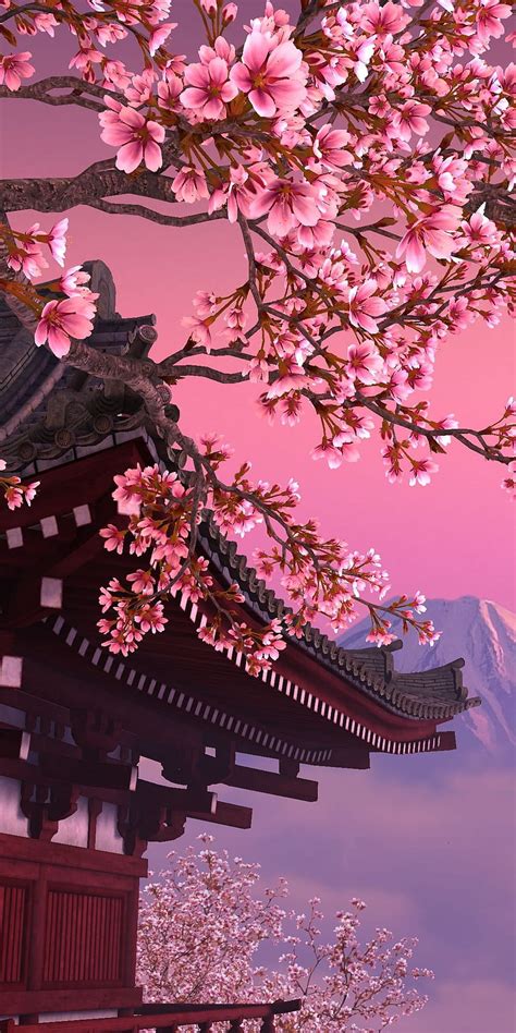 Update 89+ cherry blossom wallpaper anime super hot - in.coedo.com.vn