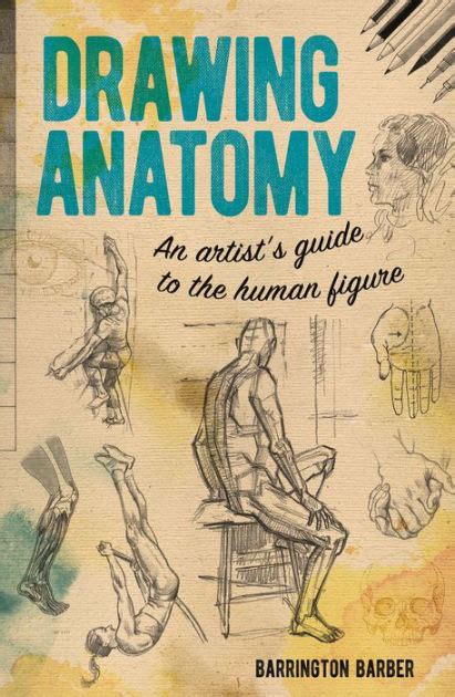 Anatomy Art Book | ubicaciondepersonas.cdmx.gob.mx