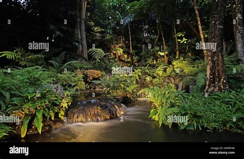 landscape photo, waterfall in forest at the night Stock Photo - Alamy