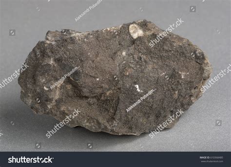 Mineral Stone Phosphorite Rock Phosphate Nondetrital Stock Photo ...