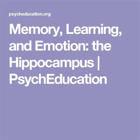 Memory, Learning, and Emotion: the Hippocampus | PsychEducation ...