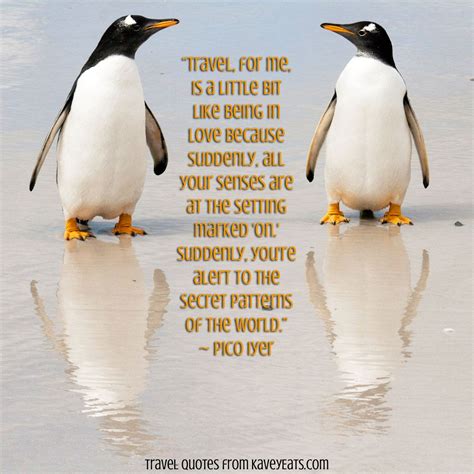 Penguin Quotes - ShortQuotes.cc