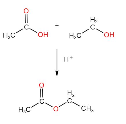 Depict the name of the given ester. | Homework.Study.com