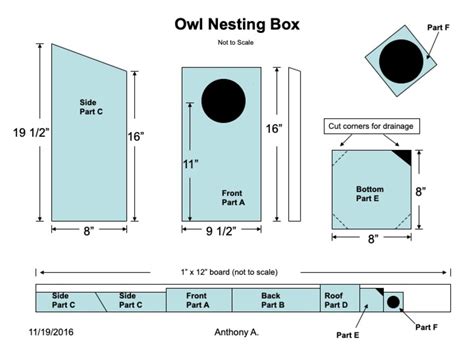 Screech Owl House Plans: How to Build a Screech Owl Box - FeltMagnet