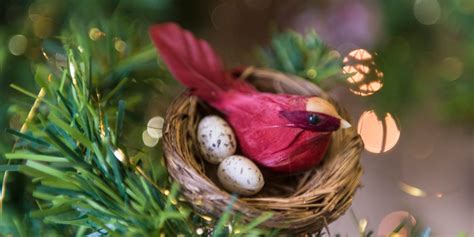 The Meaning Behind the Bird's Nest Christmas Tree Ornament Tradition