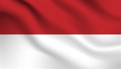 Premium Vector | Flag of indonesia background.