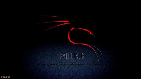 Kali Linux 4k Wallpapers - Top Free Kali Linux 4k Backgrounds ...