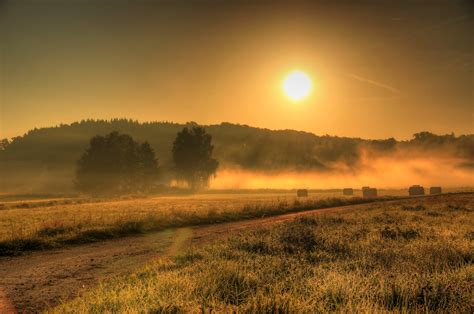 field, Germany, Fog, Sun, Nature, Sunrise Wallpapers HD / Desktop and ...