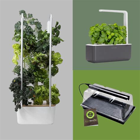 7 Best Indoor Gardening Kits and Systems for 2022 | Family Handyman