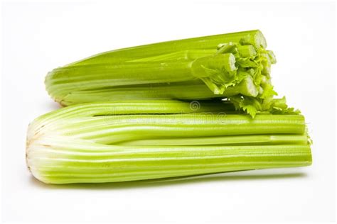 Two Celery Stalks stock photo. Image of health, vegetable - 9953228