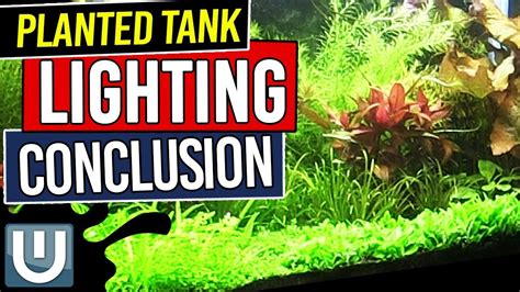 Planted Tank Lighting Conclusions - Planted Aquarium Lighting Guide ...