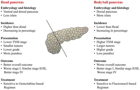 Prognosis of distal pancreatic cancers controlled by stage