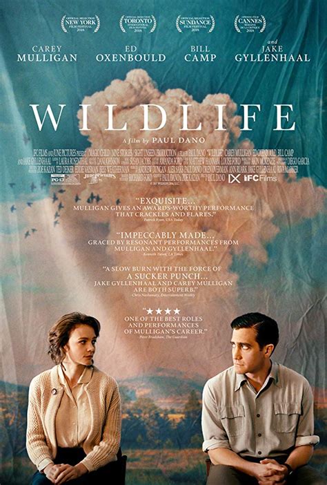 TIFF Review: "Wildlife" - Blog - The Film Experience