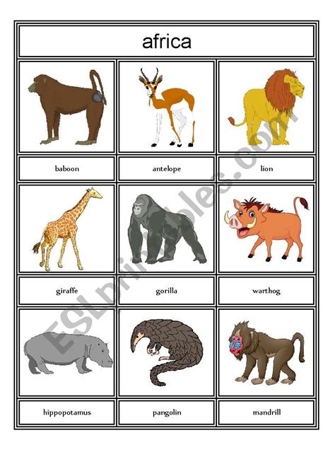 Continents And Animals Worksheet