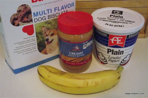 Cold Dog Treats aka Frosty Yummy for the Pup | Just My Experience