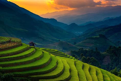 Mu Cang Chai Local Travel Guide - Vietnam's most beautiful rice terraces