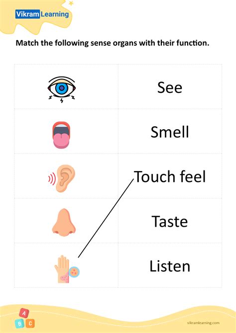 Download match the following sense organs with their function - pattern ...