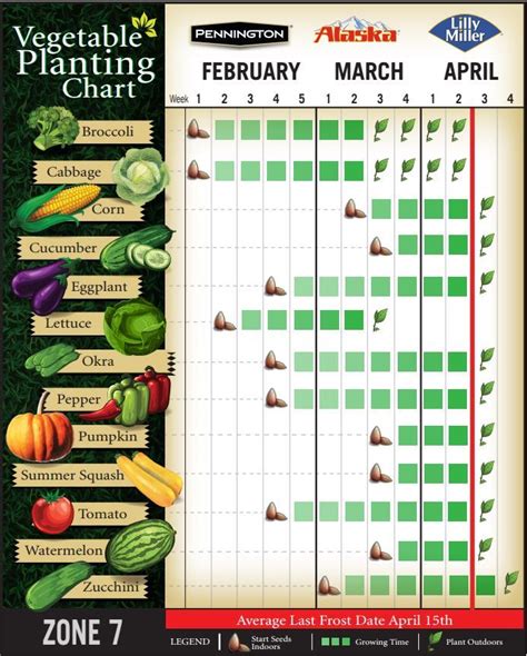 Zone 7A Planting Guide - Plant Ideas