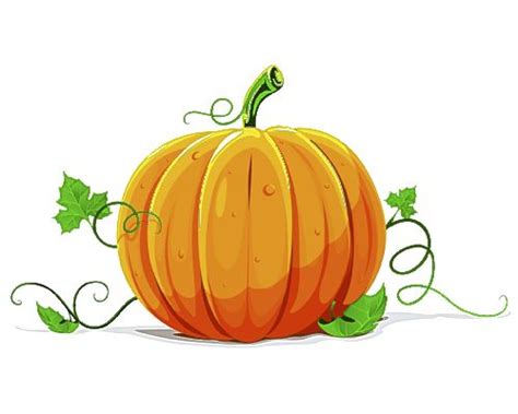 Free Autumn Pumpkin Cliparts, Download Free Autumn Pumpkin Cliparts png ...