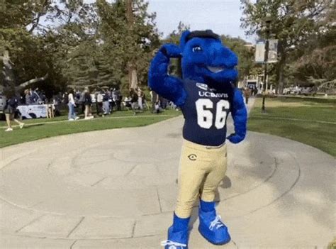 Uc Davis Mascot