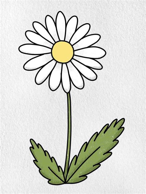 Easy to Draw Flowers - HelloArtsy