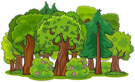 Mixed forest with trees cartoon | Forest drawing, Forest cartoon ...