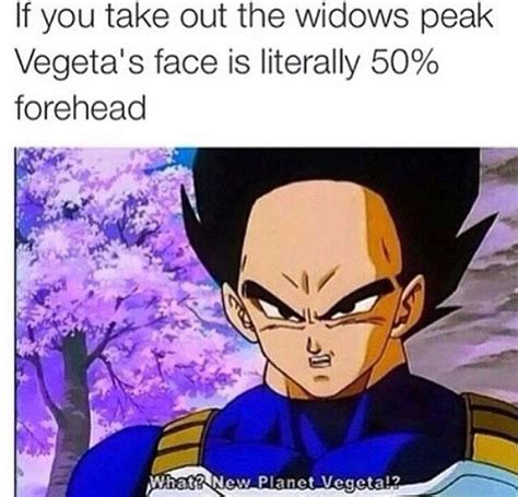 The best dragon ball z memes :) Memedroid