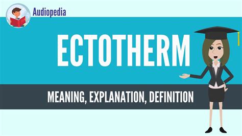 What Is ECTOTHERM? ECTOTHERM Definition & Meaning - YouTube