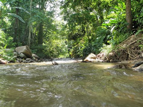 El Ávila National Park by the mountain near Caracas, Venezuela