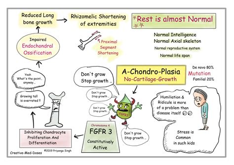 Achondroplasia: Intelligent, Disproportionate Dwarf - Creative Med Doses