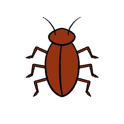 Cockroach gif by Evanest on DeviantArt