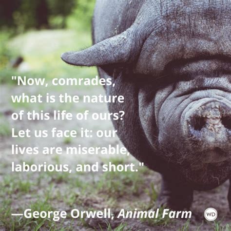 10 Equal Quotes From Animal Farm, by George Orwell - Writer's Digest