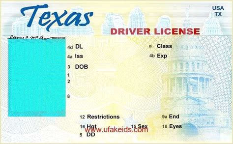 Free Printable Blank Illinois Drivers License Template - Printable Word ...