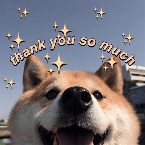 Thank You Dog Meme