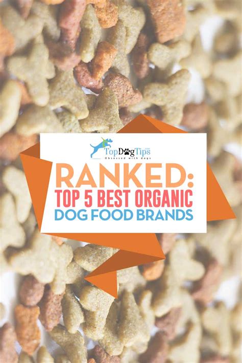 Top 11 Best Organic Dog Food Brands of 2018 (USDA Certified)