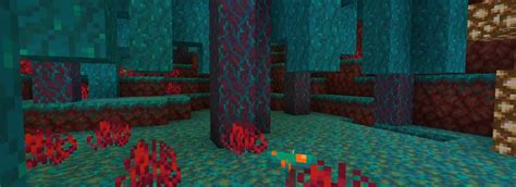 Minecraft Nether Update Adds New Mobs, Biomes, More | Gamerz Unite